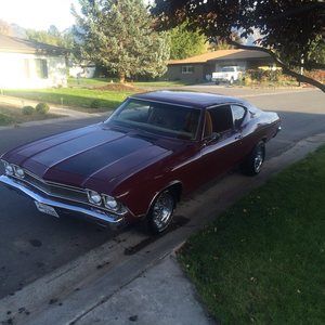 Meet your Posher, Kelly